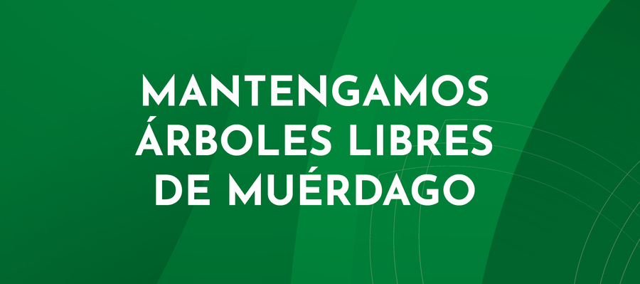 REALIZA PODAS SANITARIAS CONTRA EL MUÉRDAGO